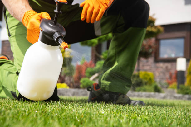 Best Termite Control Services  in Lewisville, TX