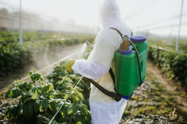  Lewisville, TX Pest Control Pros